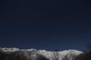 IMG_3181
