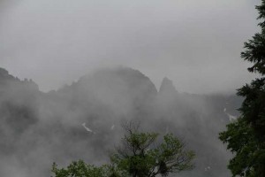 IMG_7130