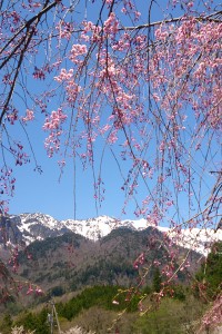 春の風景